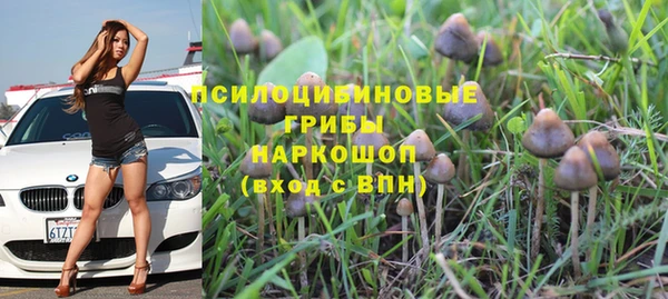 а пвп мука Осташков