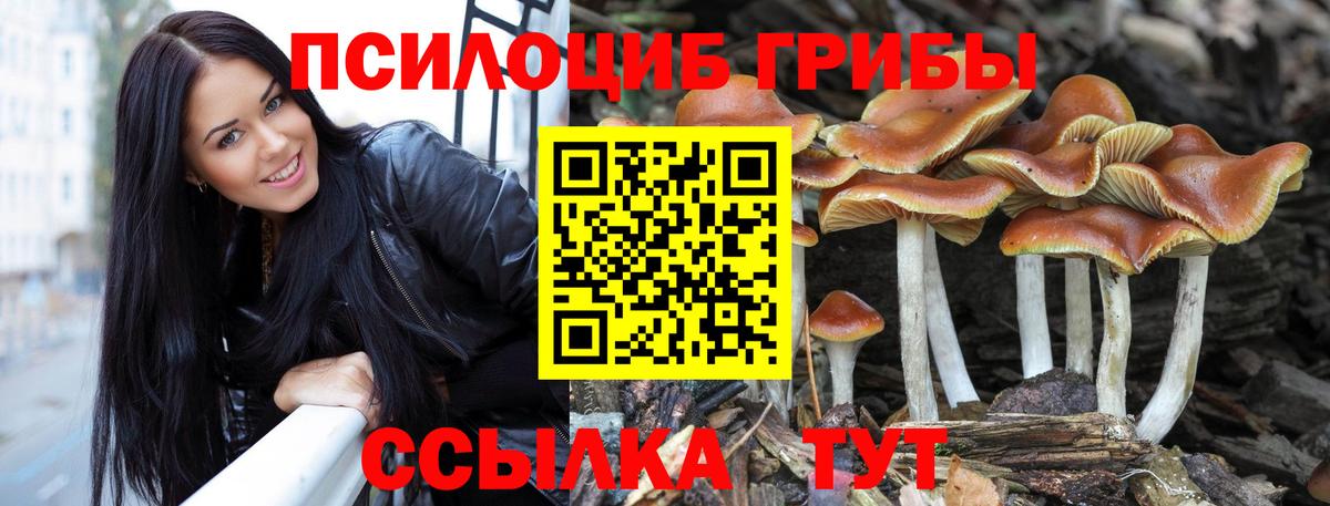 Псилоцибиновые грибы прущие грибы Тольятти